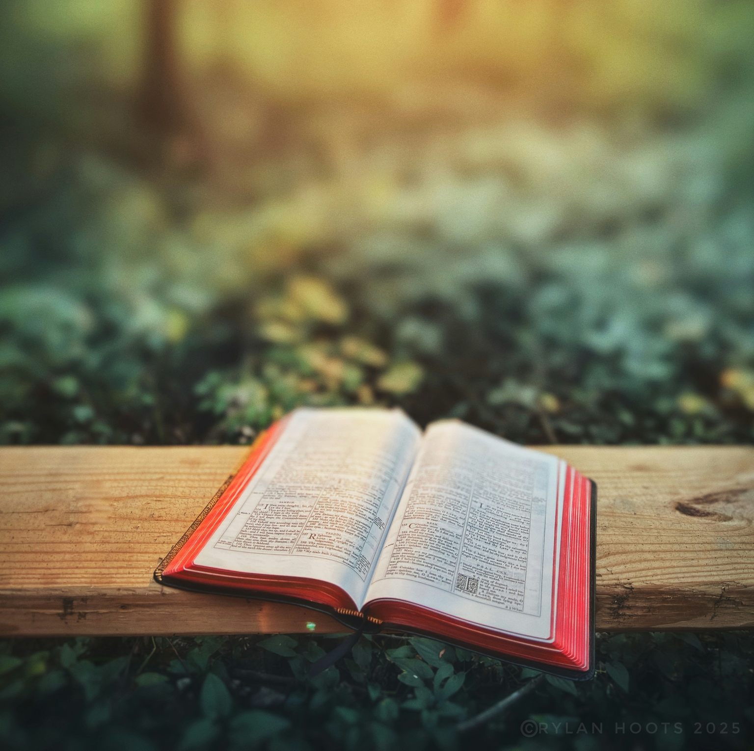 What the Bible Actually Says About Kindness (And What to Do About It)